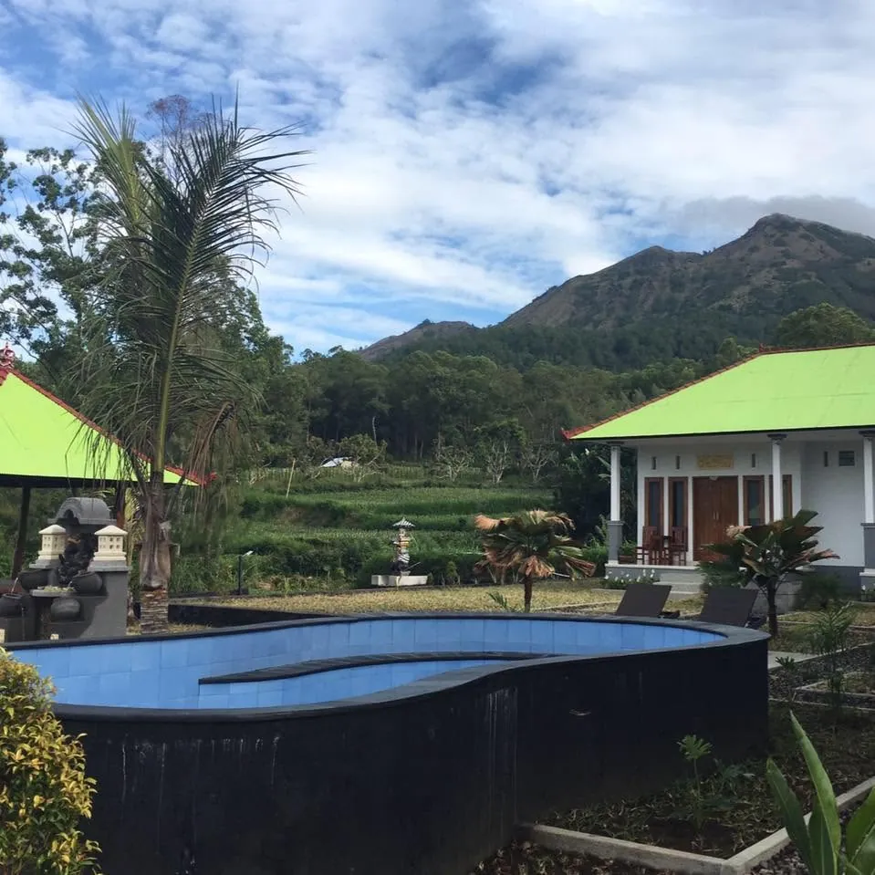 The outdoor pool and garden at Batur Volcano Guest House, with Mount Batur behind