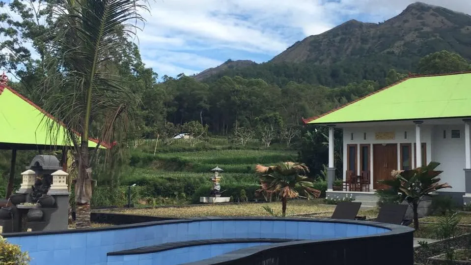 The outdoor pool with lava-stone walls in the garden of Batur Volcano Guest House